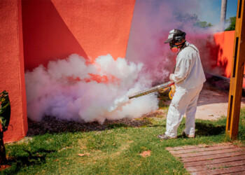 Siguen las fumigaciones en barrios de Posadas