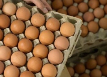 “Se duplicó el consumo de huevos desde que se disparó el valor de la carne”