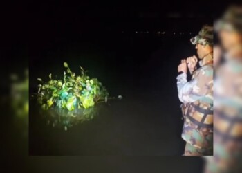 Video: se disfrazó de camalote para intentar contrabandear cigarrillos en el río Paraná