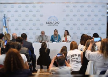 Avanza en el Senado proyecto para penar con prisión falsas denuncias por violencia de género