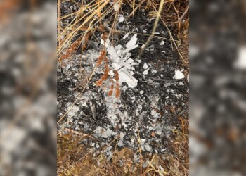 Con drones, se determinó el origen del incendio en el acceso oeste de Posadas