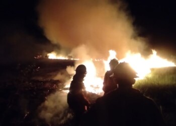 Incendio de malezas preocupó a vecinos de Posadas