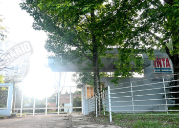 Auditoría al INTA en Misiones: “Todo está en riesgo”