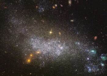 Lluvia de estrellas Leónidas 2024: cuándo, cómo y a qué hora verla