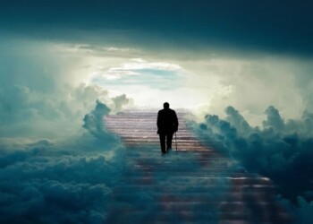 Vida después de la vida