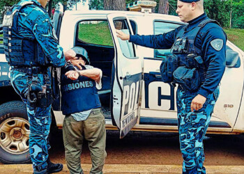 Cosecha récord de mandioca, pero los precios se estancaron