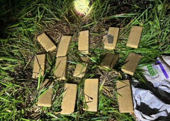 Secuestran marihuana valuada en casi 13 millones de pesos en Misiones