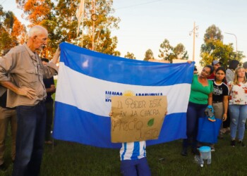Yerba: productores de Andresito definieron en $450 un “precio justo” para la hoja verde
