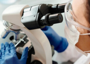 Ley 27.759: un nuevo marco para la investigación criminal en Argentina