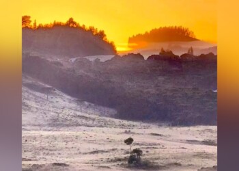 El sur de Brasil amaneció con temperaturas bajo cero y heladas