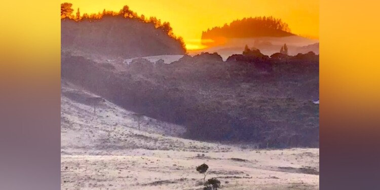(Fotos Sao Joaquim Online).