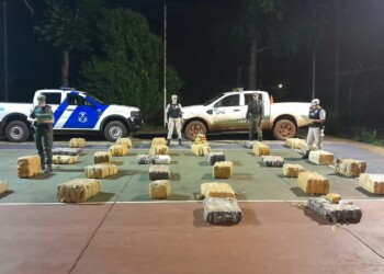 Incautan casi una tonelada de marihuana en operativo en Puerto Delicia