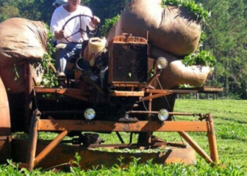 Mercosur-UE: “Habrá que nivelar la cancha para competir en iguales condiciones”