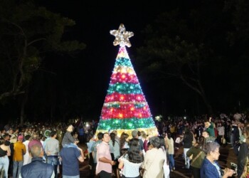 Con música y alegría Apóstoles celebró el tradicional encendido del árbol navideño