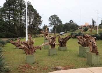Se presentó oficialmente la primera Bienal Cainguás de Aristóbulo del Valle