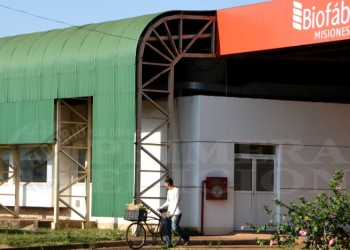 Biofábrica lanzó su catálogo de plantines y soluciones sostenibles