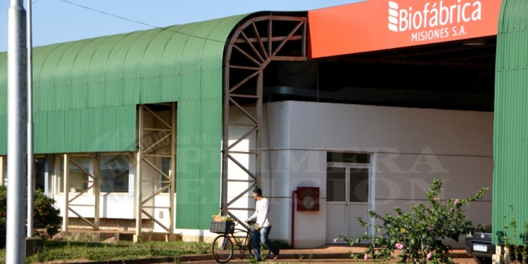 AMPLIA GAMA. El catálogo es muy completo, responde a una demanda de los productores locales que buscan una agricultura sostenible.