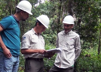 “Somos referencia mundial en la genética del pino, no solamente de Misiones y del Litoral”