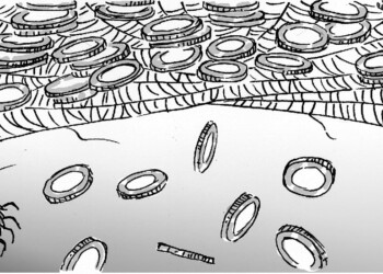 Misiones, sin poder actualizar el reparto, perdió $134.000 millones de coparticipación