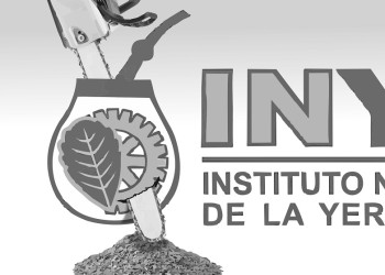 Con o sin presidente, el INYM no fijará precios y la yerba seguirá en este contexto