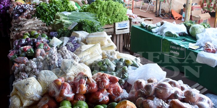 DEMOSTRADO CIENTÍFICAMENTE. El PFF demostró que las ferias francas ofrecen productos frescos de la chacra al valor más económico del mercado.
