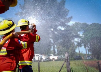“No me quemés”: presentaron la campaña de prevención de incendios en Misiones