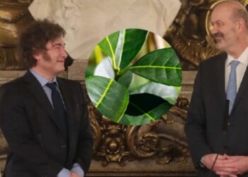 Sturzenegger volvió a celebrar la desregulación yerbatera y anticipó que buscarán eliminar las estampillas