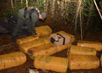 Gendarmería secuestró más de 2,5 toneladas de marihuana en Misiones