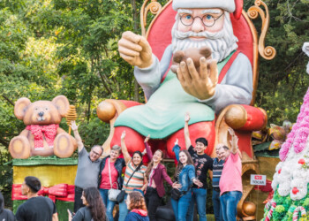 A pesar de la lluvia, hubo récord de visitantes en la Fiesta de la Navidad de Alem