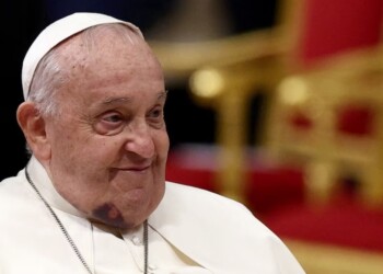 El papa Francisco apareció con un moretón en la barbilla y preocupó a los fieles