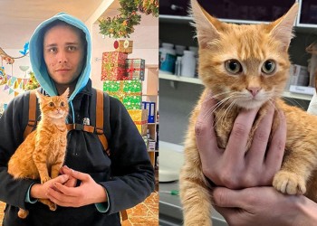 Un ucraniano huía de la guerra y su gato le salvó la vida