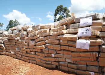 Con la presencia de Bullrich, quemaron 47 toneladas de droga en Misiones