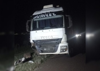 Camión chocó contra un caballo en Misiones