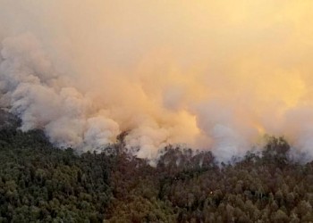 Incendios en Bariloche: brigadistas combaten el fuego en el Parque Nahuel Huapi