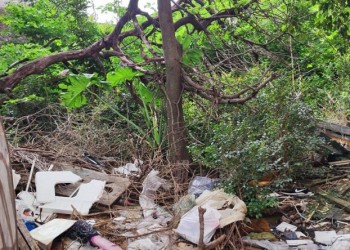 Barrio Palomar: vecinos denuncian más de 30 años de abandono de terreno baldío