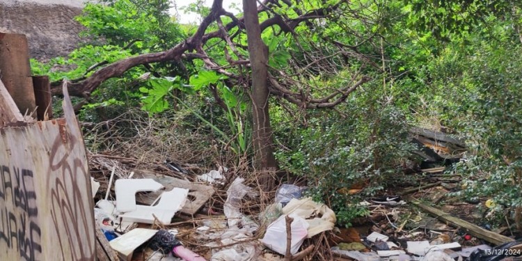 ABANDONO. El terreno baldío sobre la calle Barrufaldi, un problema crónico para los vecinos del barrio.