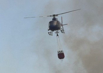 Incendió quemó 80 hectáreas de malezas y generó preocupación en Posadas