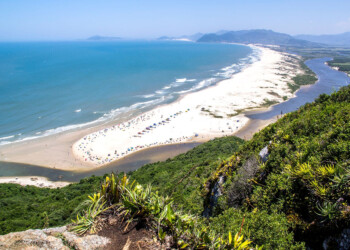 Los precios en Brasil ya son más bajos en casi todos los rubros de consumo masivo