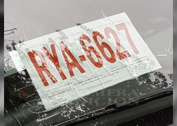 Alivio para los viajantes: Paraguay acepta la patente provisoria argentina y se sumaría Brasil en breve