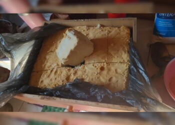 Tres hermanos misioneros detenidos en Corrientes con 12 kilos de cocaína que dijeron era para hacer jabón