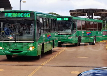 Comienza a normalizarse el servicio de transporte urbano