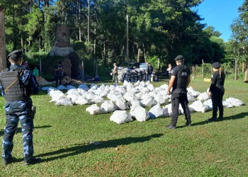 Incineraron más de 1.800 kilos de marihuana decomisados durante el 2024