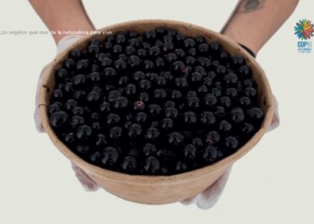 Ecosanación y Diversidad Biológica COP 16