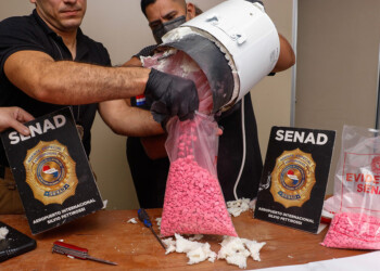 Paraguay evitó el ingreso de casi 8.000 dosis de éxtasis a la triple frontera