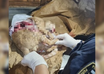 Hubo egresos en la Maestría en Gestión y Evaluación de la Educación Superior