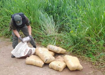 Gendarmería secuestró marihuana por casi $2.000 millones en Misiones