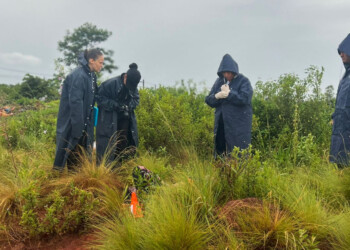 Hallaron muerto a un joven en el barrio Sol de Misiones III