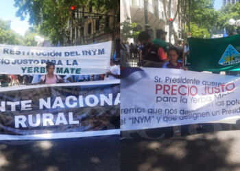 Productores misioneros llevaron su reclamo a la marcha federal contra Milei