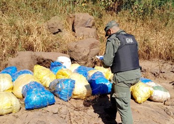 Gendarmería secuestró casi 300 kilos de marihuana en Puerto Esperanza