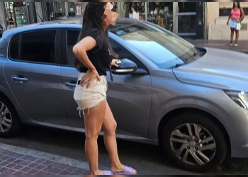 Dejó a su perro encerrado en el auto por varias horas: el animal murió sofocado